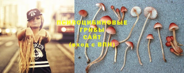 гидра Новокубанск