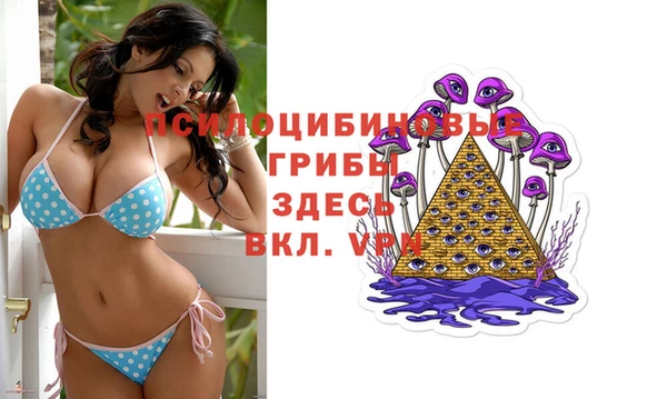 гидра Новокубанск