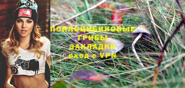 гидра Новокубанск
