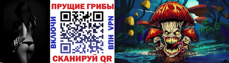 Галлюциногенные грибы ЛСД  Черногорск 