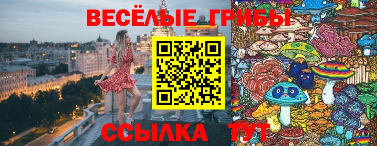 Псилоцибиновые грибы прущие грибы  Галлюциногенные грибы мицелий  Черногорск  Вход с VPN 