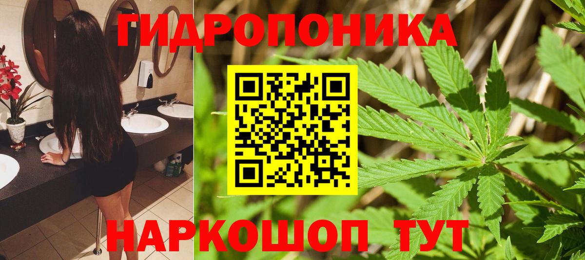 Конопля MAZAR Черногорск